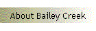 About Bailey Creek