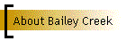 About Bailey Creek